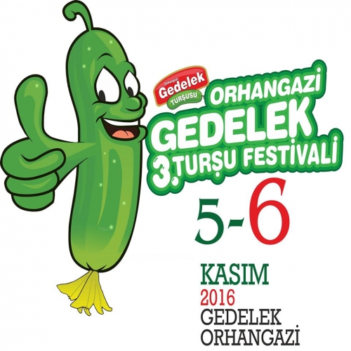 Orhangazi Gedelek Turşu Festivali Tanıtımı için TV Programları Devam Ediyor