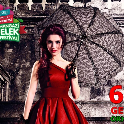 Orhangazi Gedelek Turşu Festivali Tanıtımı için TV Programları Devam Ediyor