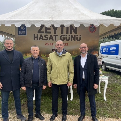 Orhangazi‘de Zeytin Mucizesi 45. kez Hasatla Buluştu