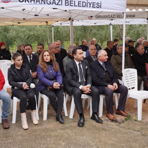 Orhangazi‘de Zeytin Mucizesi 45. kez Hasatla Buluştu