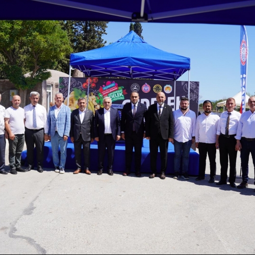 9.Geleneksel Orhangazi Gedelek Turşu Festivali