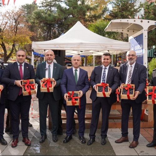 47.Orhangazi Zeytin Festivali