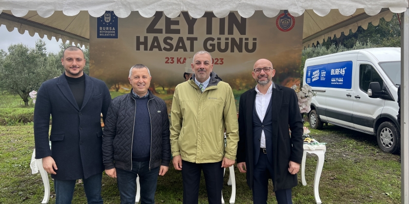 Orhangazi‘de Zeytin Mucizesi 45. kez Hasatla Buluştu